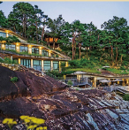 라드라비 미술관 입장료 5천원 특별할인! - 힐링 미술 전시 투어